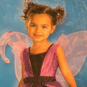 Butterfly Princess Costume 3T-4T